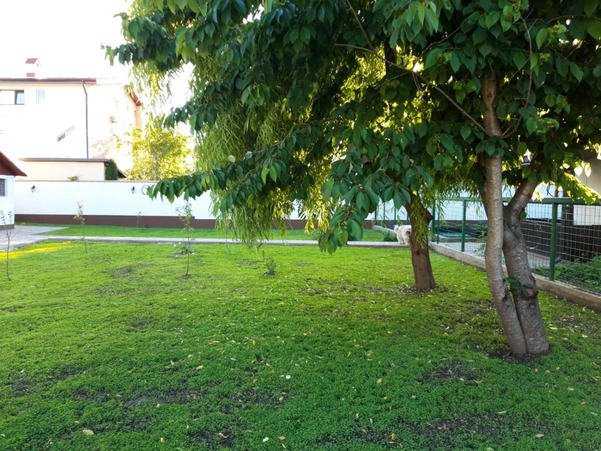 Iarca Cottage Бухарест Экстерьер фото